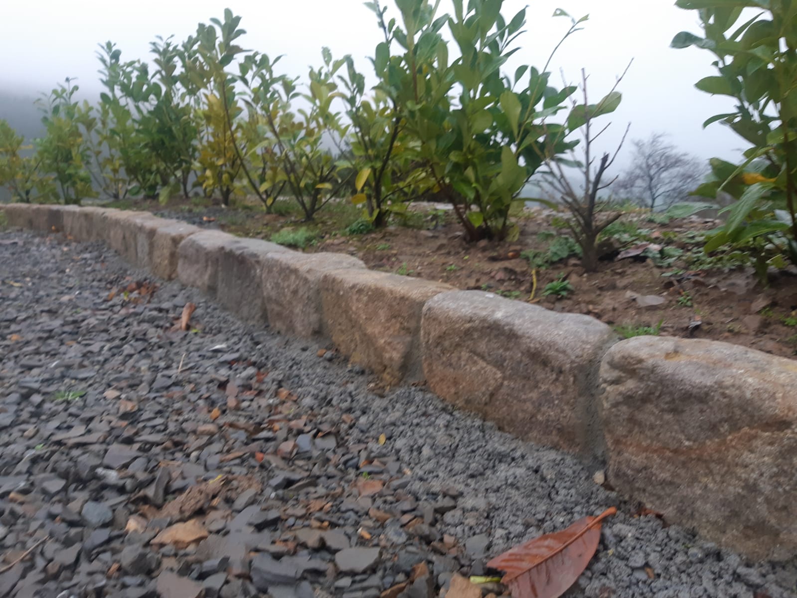 Tumbled Sandstone Kerbs - Image 5